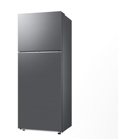 Top Mount Freezer with Optimal Fresh RT42CG6420S9RT