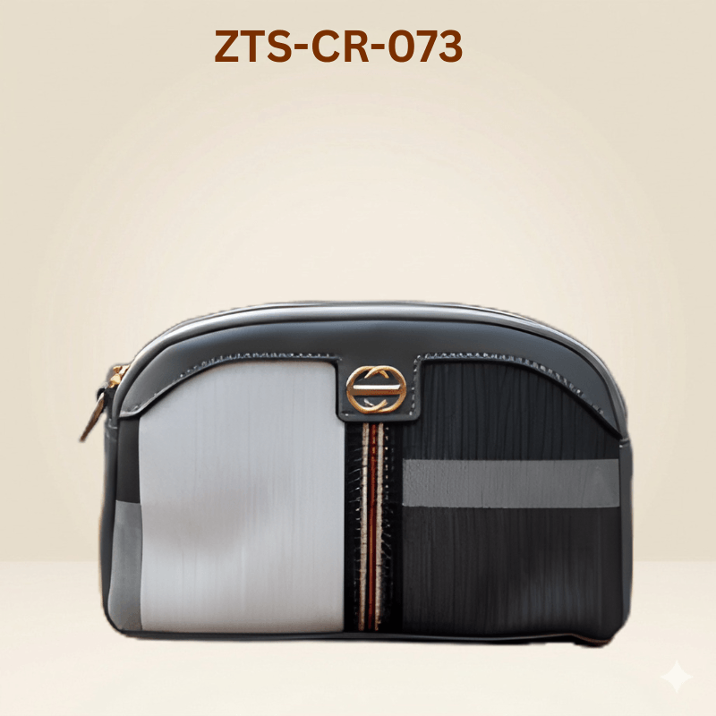 Handbag for ladies  Design, Modern Appeal ZTS-CR-073