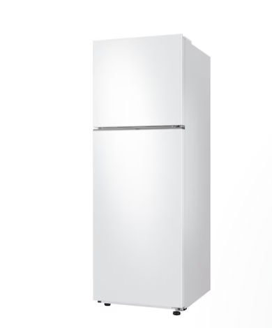 Top Mount Freezer with No Frost RT35CG5004WWRT